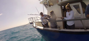 Fish Key Party Boat Fishing | Fish Key West