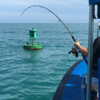 Inshore Fishing Charters